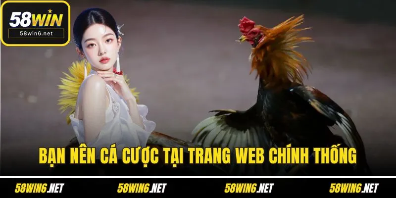 Bạn nên cá cược tại trang web chính thống