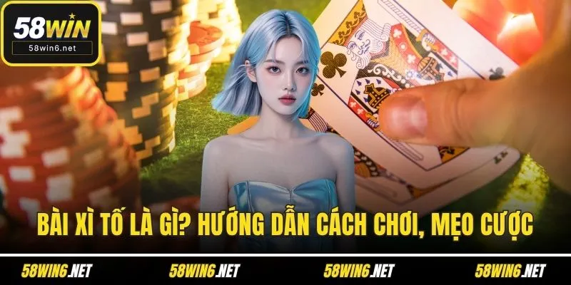 bài xì tố là gì