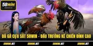 đá gà cựa sắt