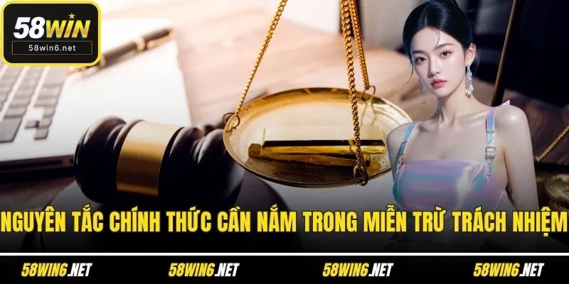 Nguyên tắc chính thức cần nắm trong miễn trừ trách nhiệm